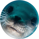 ImTegann profile picture